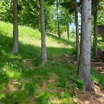 Alm-ferienhaus Gaisegg Am Klippitztoerl 아파트