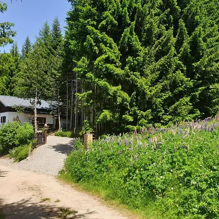 Alm-ferienhaus Gaisegg Am Klippitztoerl