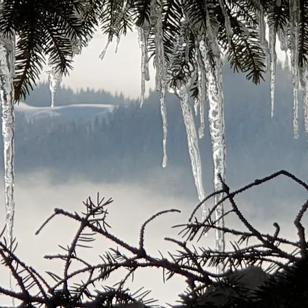 דירה Alm-ferienhaus Gaisegg Am Klippitztoerl