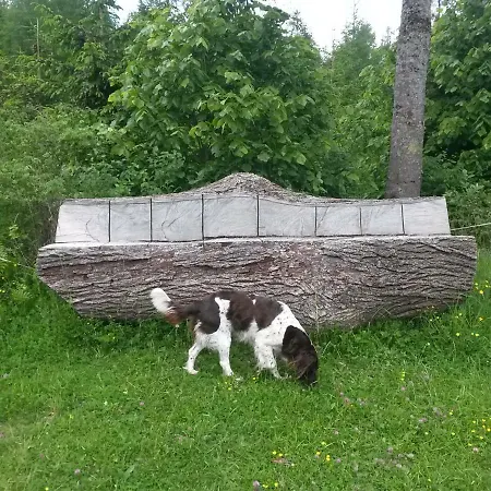 Alm-ferienhaus Gaisegg Am Klippitztoerl באד סנט לאונרד אים לבנטל