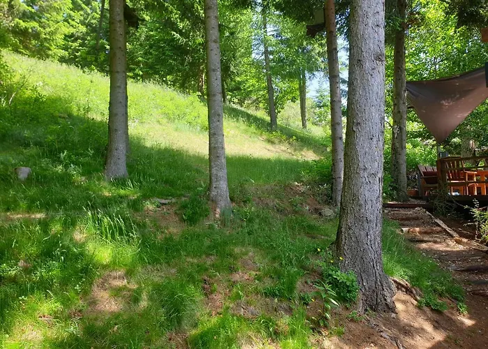 Alm-ferienhaus Gaisegg Am Klippitztoerl Lägenhet