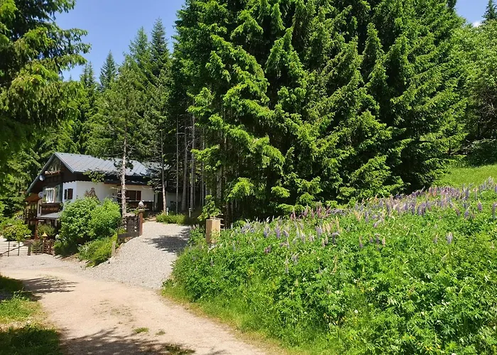 Alm-ferienhaus Gaisegg Am Klippitztoerl