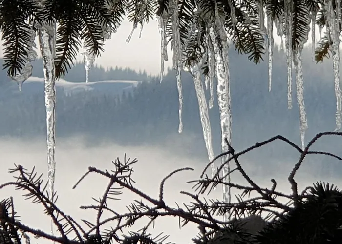 Lägenhet Alm-ferienhaus Gaisegg Am Klippitztoerl